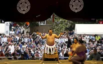 Lễ hội mùa Xuân của các võ sĩ Sumo Nhật Bản
