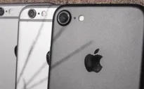 Sử dụng iPhone 7 tại những cơ quan này sẽ khiến bạn mất việc ngay lập tức