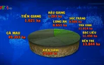 Gần 1 triệu ha lúa ở ĐBSCL bị ảnh hưởng do hạn hán, xâm nhập mặn