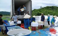 VASEP kiến nghị thu thuế với thương lái Trung Quốc