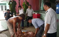 Đánh tráo heo bị dính chất cấm để mang đi giết mổ