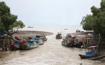 Nguy cơ thiếu nguồn nước ngọt trầm trọng tại ĐBSCL