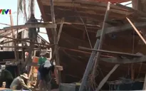 Xây dựng cơ chế hỗ trợ một lần cho tàu cá xa bờ