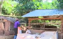Bất cập quy định sử dụng nguồn vốn hộ nghèo ở Lâm Đồng