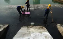 Báo động ô nhiễm môi trường các hồ ở Hà Nội