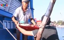 Quảng Bình: Dừng hỗ trợ 20% chênh lệch giá thu mua hải sản