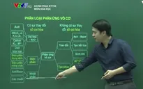 Ôn tập môn Hóa học: Phân dạng câu hỏi theo các phản ứng vô cơ