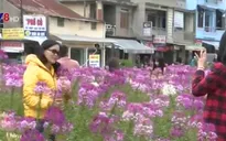 Không gian công cộng - Sức hút mới cho TP Đà Lạt