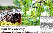 Tràn ngập hoa quả Trung Quốc gắn mác hàng Việt