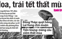 Hoa trái, thực phẩm Tết mất mùa vì giá rét