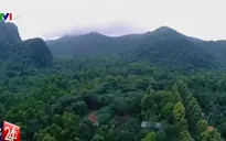 Ngang nhiên đặt bẫy động vật hoang dã trong rừng Pù Mát