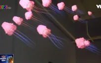 Khám phá công nghệ thực tế ảo hỗn hợp của Magic Leap