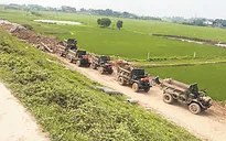 Bình Định hỗ trợ lúa giống giúp người dân khôi phục sản xuất