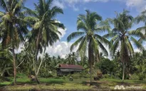 Malaysia: Máy bay trực thăng chở một số quan chức bị mất tích