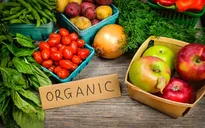 DN dè chừng đầu tư vào nông nghiệp hữu cơ: Vì sao?
