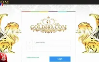 Phá trang web lừa đảo huy động vốn theo mô hình đa cấp