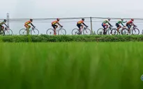 Ảnh: Khoảnh khắc ấn tượng chặng 8 Giải xe đạp quốc tế VTV Cúp – Tôn Hoa Sen 2016