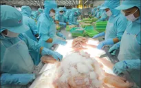 Panama sẽ thanh tra một số cơ sở thủy sản tại Việt Nam vào tháng 7