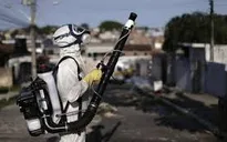 Brazil bắt buộc báo cáo các trường hợp nhiễm virus Zika
