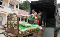 Cấp phát 400 tấn lúa giống cho Ninh Thuận sau lũ