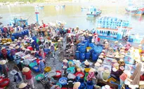 Khánh Hòa: Đóng cửa, chuyển hoạt động cảng cá Vĩnh Trường