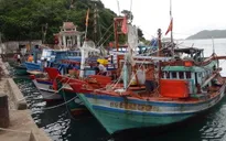 Quảng Nam: Hạ tầng nghề cá chưa đáp ứng yêu cầu