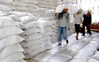 Trung Quốc "làm khó" hạt gạo Việt, doanh nghiệp nói gì?