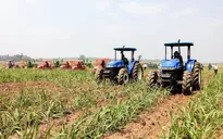 Gia Lai đưa cơ giới hóa vào phát triển nguyên liệu mía