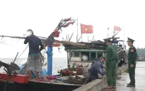 Bộ đội Biên phòng Quảng Ngãi kêu gọi ngư dân tránh bão số 10