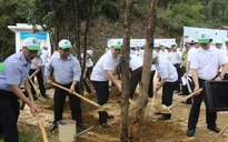 Lễ trồng cây và thả động vật về rừng nhân Ngày Môi trường thế giới