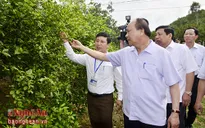 Thủ tướng Nguyễn Xuân Phúc thăm xã nông thôn mới ở Nghệ An