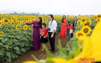 Nghệ An sẵn sàng cho Ngày hội Hoa hướng dương 2016