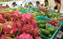 Xuất khẩu rau quả tăng mạnh