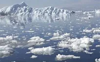 1.000 tỷ tấn băng tại Greenland tan chảy trong 4 năm