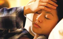 Bệnh sốt vàng có nguy cơ xâm nhập vào Việt Nam