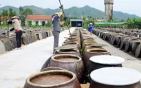 Nước mắm Sá Sùng: Đặc sản huyện đảo Vân Đồn, Quảng Ninh
