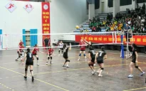 Trở lại hạng A, thu nhập của đội bóng chuyền nữ Quảng Ninh tăng 5 lần