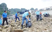 Quảng Ninh: Ra quân làm sạch ven bờ Vịnh Hạ Long