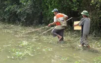 Ngăn chặn tận diệt thủy sản bằng xuyệt điện