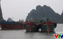 Đêm nay (18/10), dự báo Quảng Ninh có mưa to đến rất to