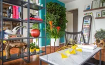 Mát mắt với căn hộ ngập tràn cây cối ở Los Angeles