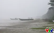 Dự báo Quảng Ninh, Lạng Sơn có mưa to do hoàn lưu bão số 7