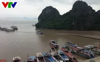 Cháy tàu hạng sang trên đảo Tuần Châu: May mắn vì tàu không cháy khi đang lưu trú trên biển