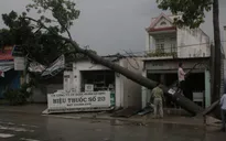TP.HCM: Dông lốc quật ngã nhiều cây xanh, nhiều nhà dân tốc mái