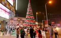 Mãn nhãn trước những cây thông Noel khổng lồ tại Hà Nội