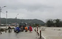 Mưa lũ tại Bình Định: 12 người chết, 2 người mất tích