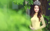 Hoa hậu Mỹ Linh đẹp e ấp trong sắc vàng