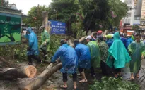 Hàng trăm thanh niên Thủ đô tham gia khắc phục hậu quả sau bão