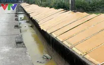 Miến trắng, bánh đa "hít khỏi" lề đường, "tắm nắng" trên kênh nước bốc mùi