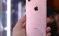 iPhone 7 vàng hồng giá dưới 15 triệu đồng vẫn ế khách